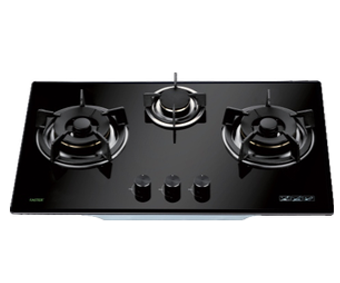 Bếp gas FS 319S