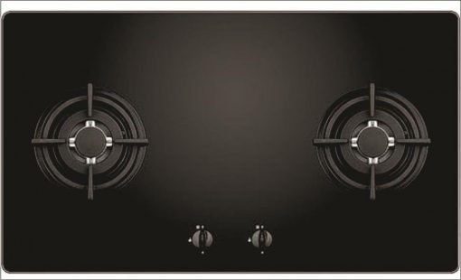Bếp gas âm FS 202GB